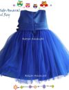 Vestido Amaral Azul 2
